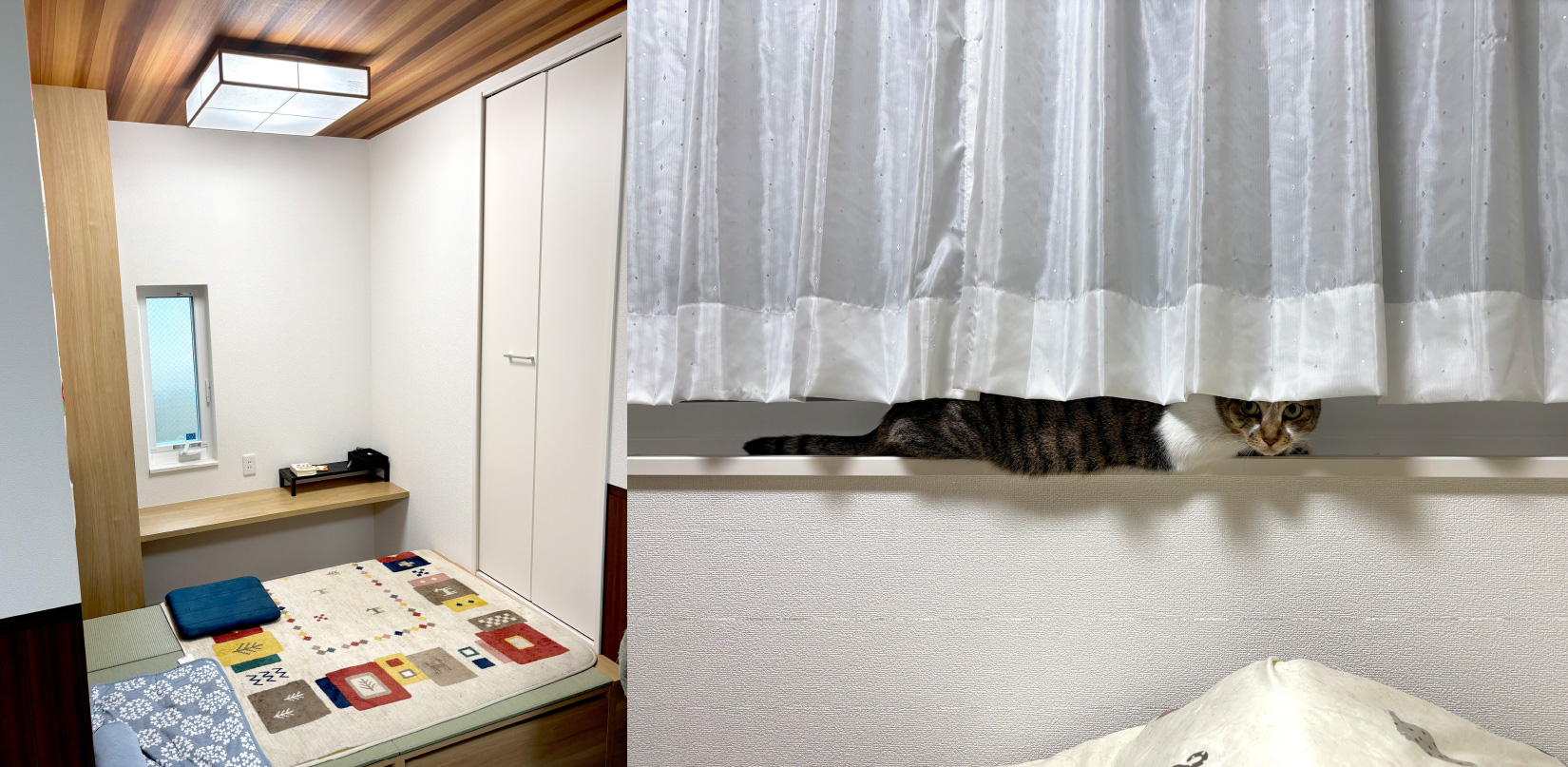窓辺や小上がりでネコがくつろげる空間