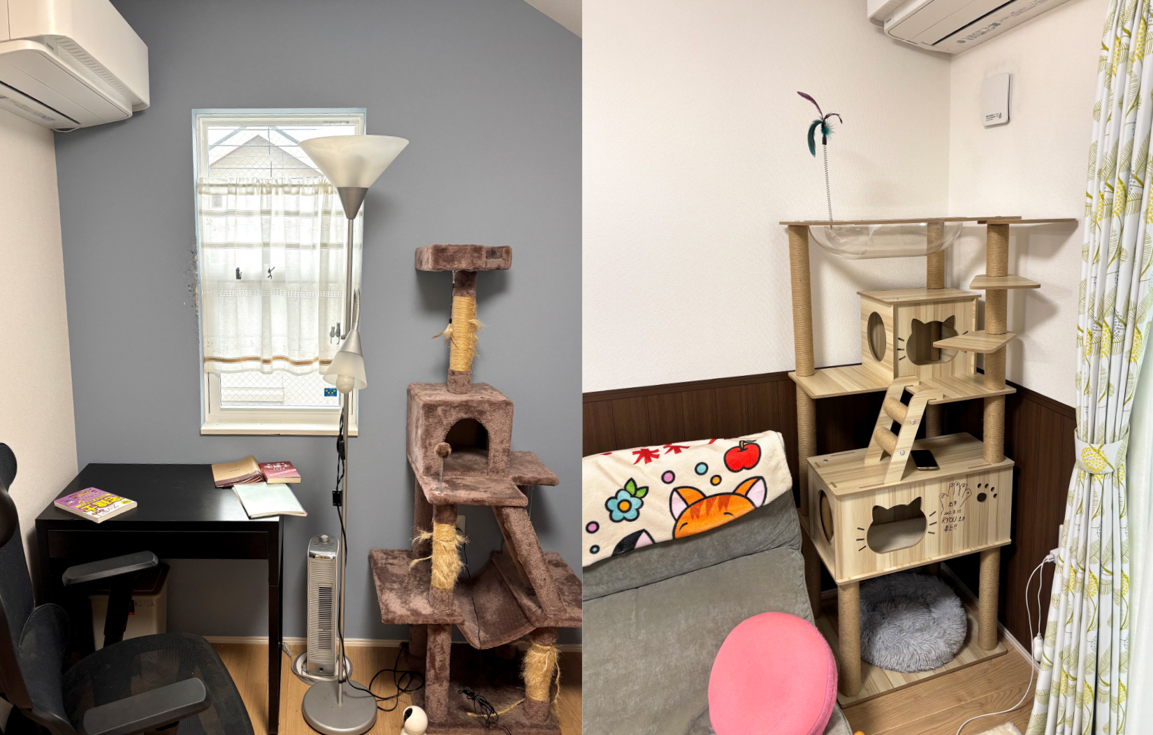 ネコと一緒に成長していく家