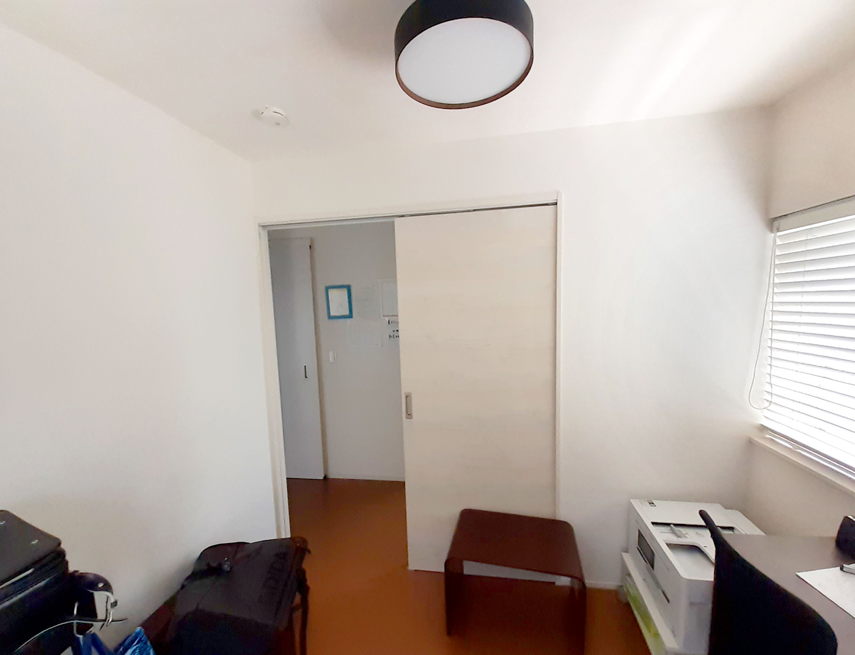 窓辺や小上がりでネコがくつろげる空間